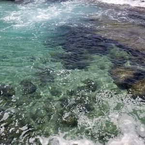 Meet your Posher, Neepa